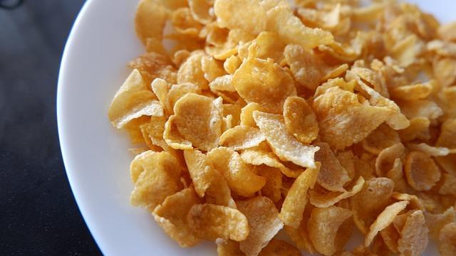 BIO Cornflakes Ontbijt Webshop