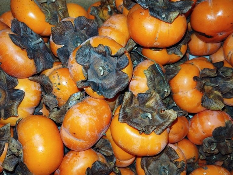 Kaki 't Loonse voedselbos Webshop