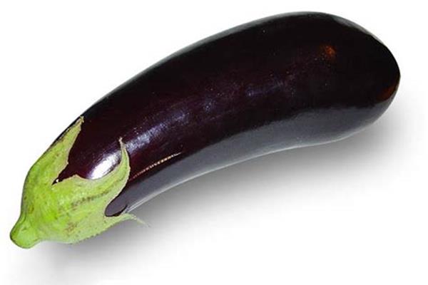 Aubergine De Vrijloophoeve Webshop