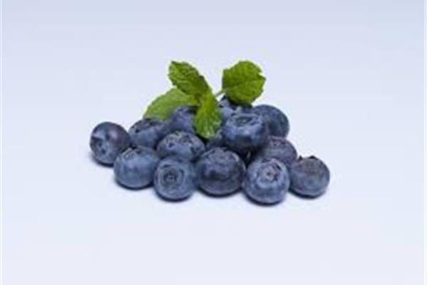 blauwe bosbes 125g De Vrijloophoeve Webshop