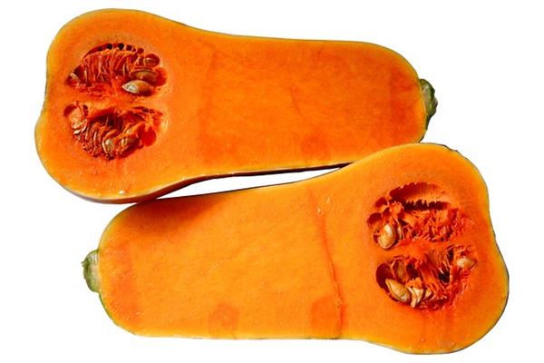 Butternut pompoen De Vrijloophoeve Webshop