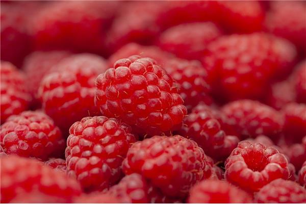 Framboos 125g De Vrijloophoeve Webshop