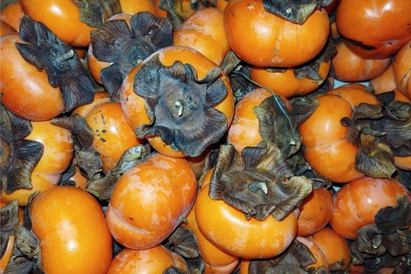 Kaki 't Loonse voedselbos Webshop