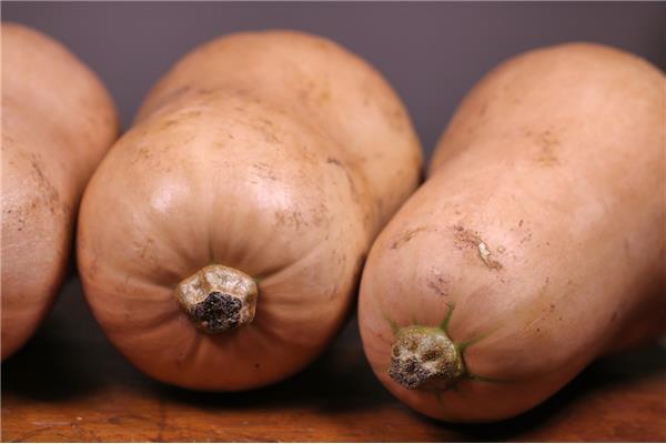 Pompoen butternut (bio) Kempengoud Webshop