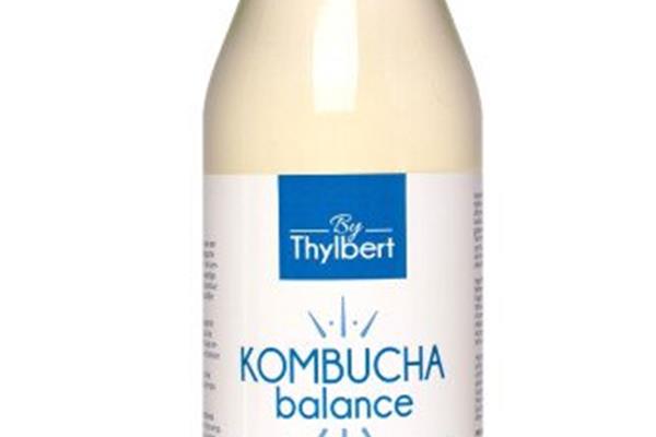 Bio kombucha balance 50 cl Kombucha Webshop