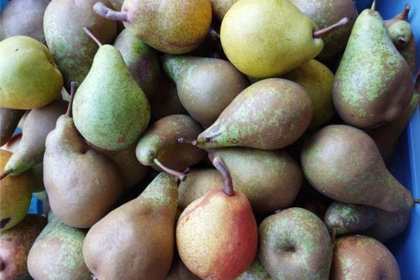 Perenmix 't Loonse voedselbos Webshop