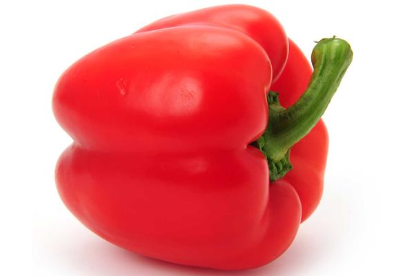 Paprika rood De Vrijloophoeve Webshop