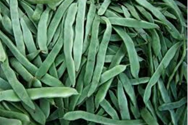 Snijboon Kempengoud Webshop
