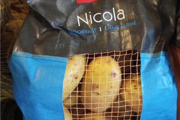 Nicola aardappelen 2,5kg De Vrijloophoeve Webshop