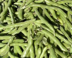 Tuinboon Producten in de kijker Webshop