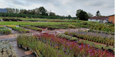 Het Noordeneind - Leverancier CoopSaam, Essen