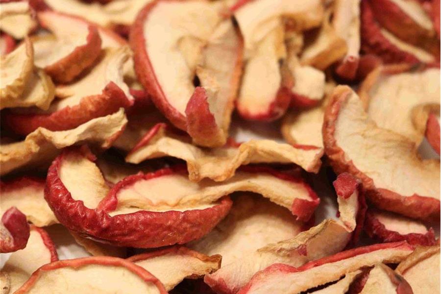 Gedroogde apels Producten in bulk Webshop