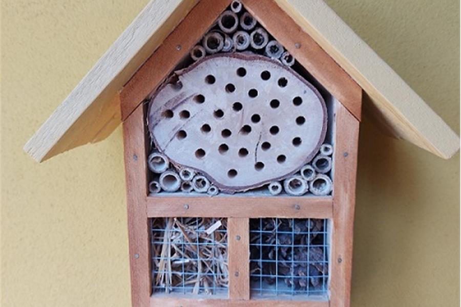 Bijenhotel Dieren Webshop