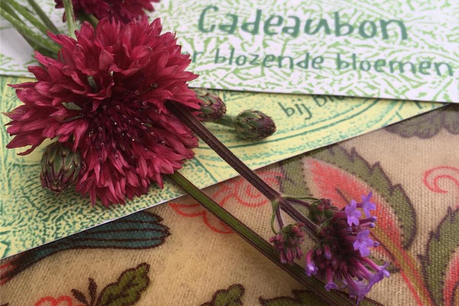 Plukbon/Cadeaubon Cadeaubonnen Webshop