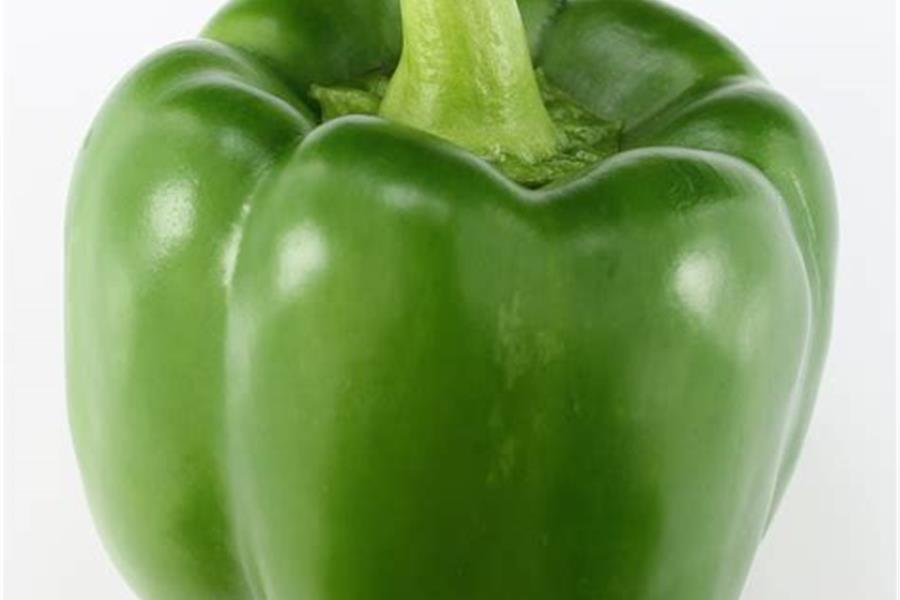 Paprika Groen Producten in de kijker Webshop