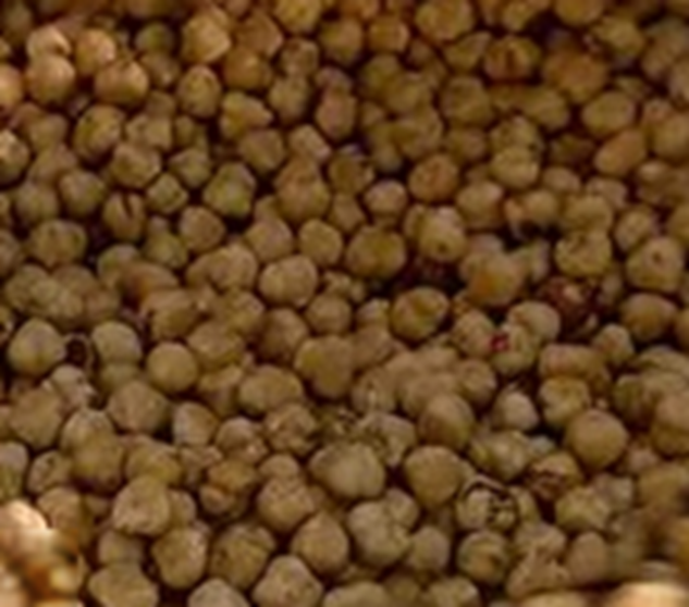 Geroosterde hazelnoten Producten in bulk Webshop