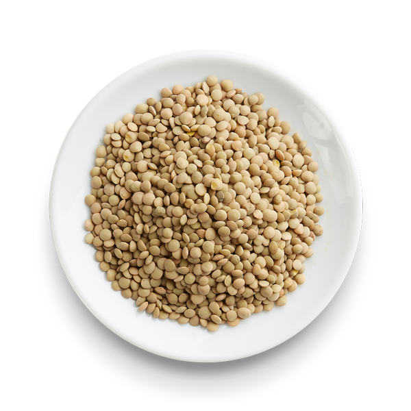 Berglinzen Producten in bulk Webshop