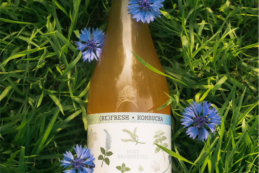 (RE)FRESH kombucha Munt en Brandnetel Kombucha Webshop