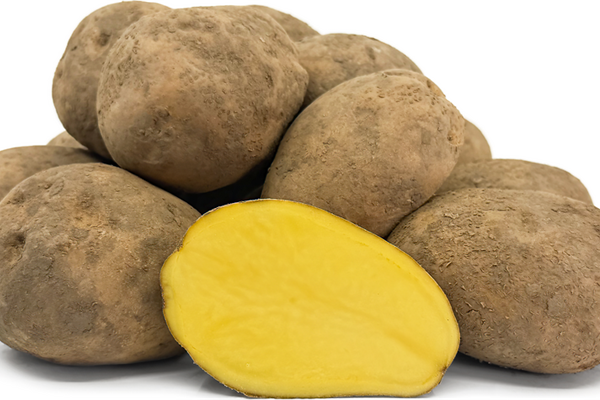 Aardappel Agra 1,5kg De Vrijloophoeve Webshop