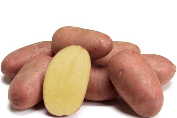 aardappelen Alouette Vers aanbod in de winkel op 20 maart en 21 maart Webshop