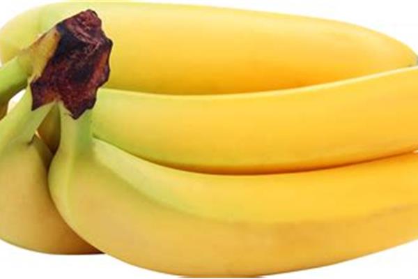 Bananen Vers aanbod in de winkel op 20 maart en 21 maart Webshop