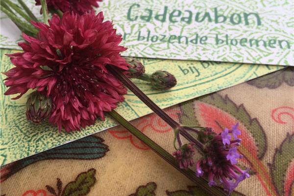 Plukbon/Cadeaubon Cadeaubonnen Webshop