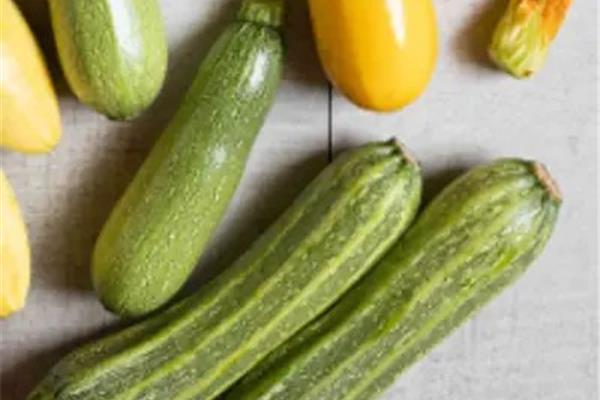Courgettemix Vers aanbod in de winkel op 18 september en 19 september Webshop