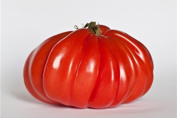 Coeur de Boeuf tomaten Vers aanbod in de winkel op 18 september en 19 september Webshop