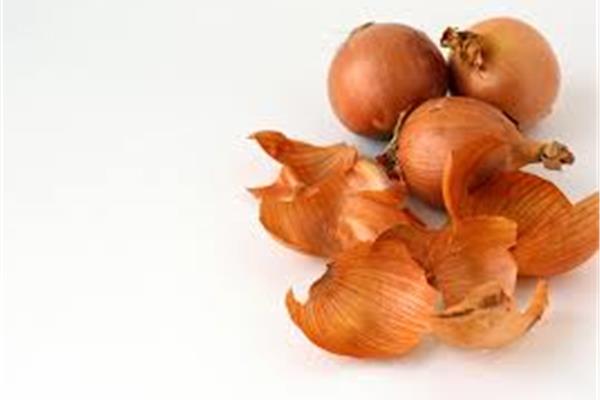 Gele ui Vers aanbod in de winkel op 20 maart en 21 maart Webshop