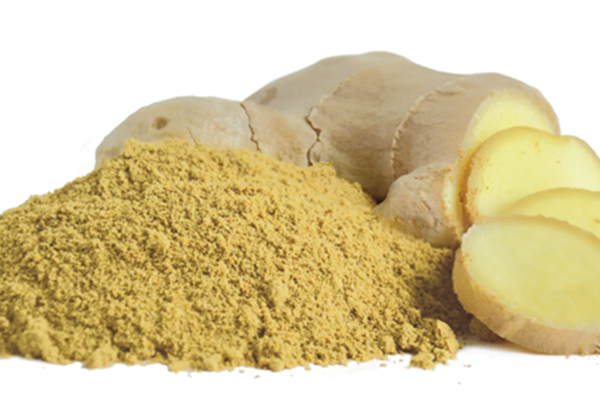 Gemberpoeder Producten in bulk Webshop