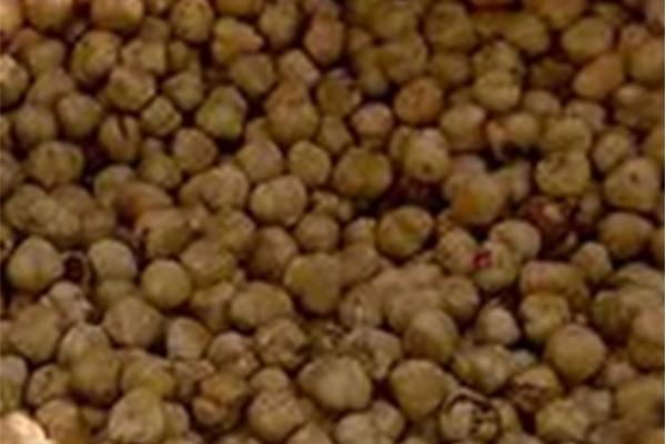 Geroosterde hazelnoten Producten in bulk Webshop