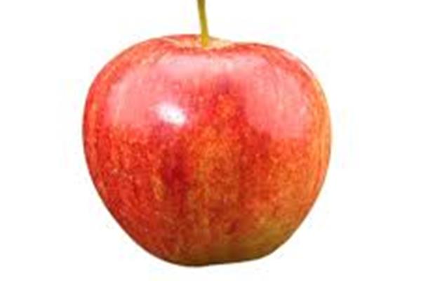 Appelen Jonagold Vers aanbod in de winkel op 20 maart en 21 maart Webshop