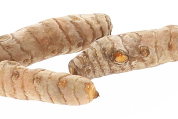 Kurkuma Vers aanbod in de winkel op 19 juni en 20 juni Webshop