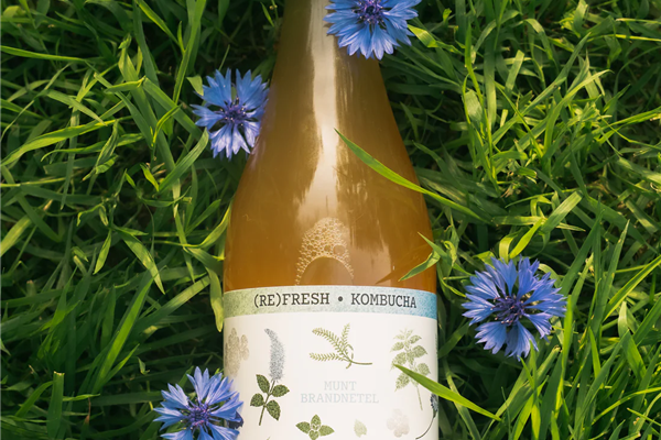 (RE)FRESH kombucha Munt en Brandnetel Kombucha Webshop