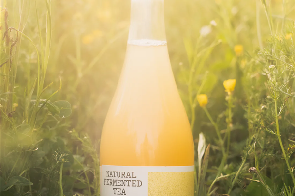 (RE)WILD natural fermented tea Kamille en Paardebloem Sappen & Frisdrank Webshop