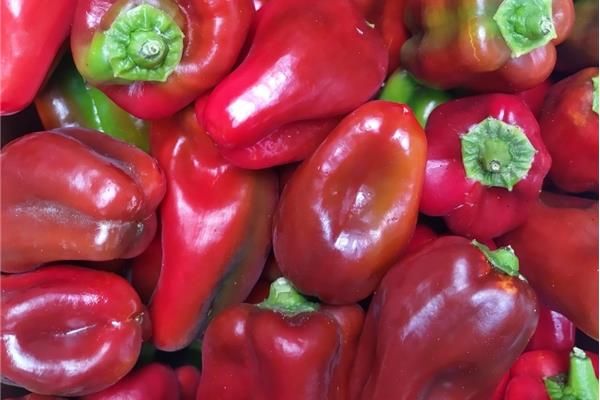 Paprika California Rood Vers aanbod in de winkel op 20 maart en 21 maart Webshop