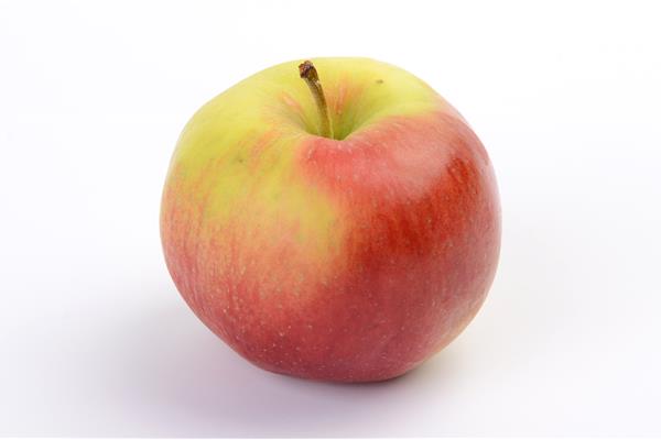 Appelen Santana Vers aanbod in de winkel op 18 september en 19 september Webshop
