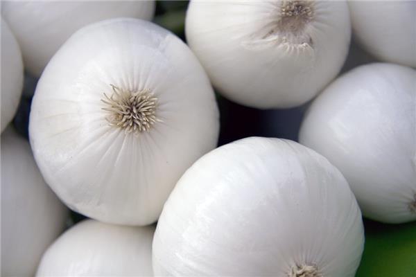 witte ui Vers aanbod in de winkel op 18 september en 19 september Webshop