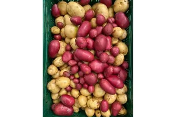 Aardappelen (nieuwe oogst) Producten in de kijker Webshop