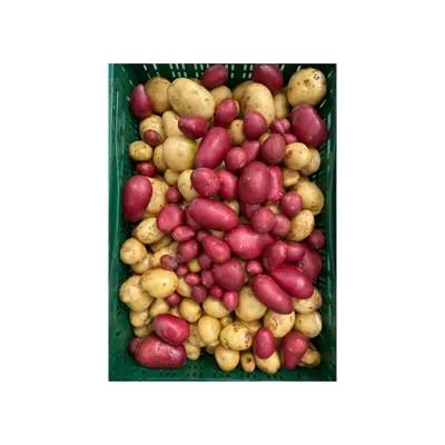Aardappelen (nieuwe oogst) Producten in de kijker Webshop